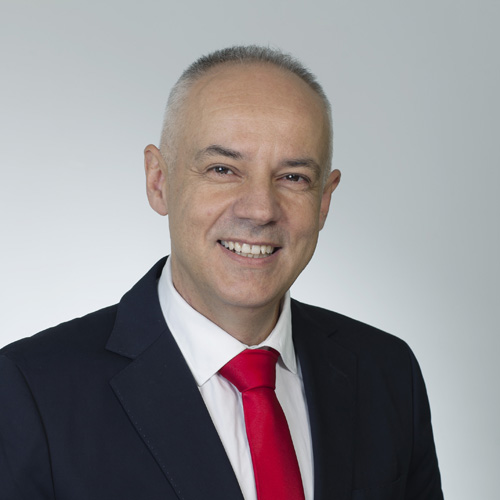 Prof. dr Zoran Radojičić